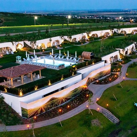 Casa Timis - Wellness & Spa Resort Chitorani Exterior foto Aerial view of the resort